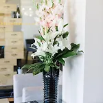 Boutique سينترا